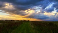 Burwell Fen